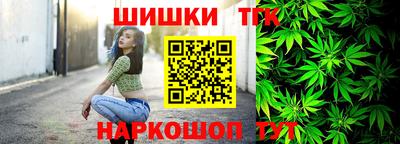индика Славгород
