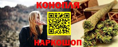 индика Славгород