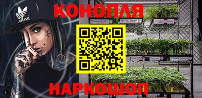 индика Славгород
